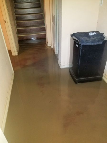 Cost of Emergency Water Removal in Tacoma